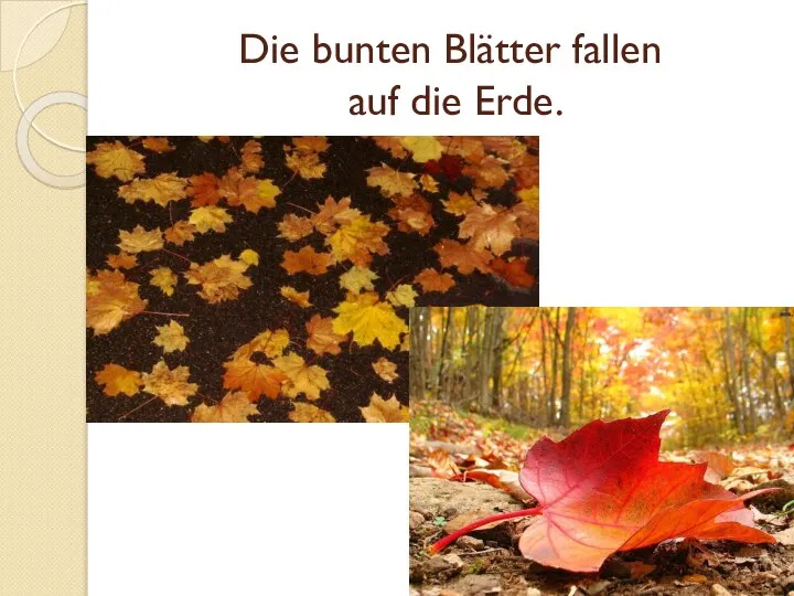 Die bunten Blätter fallen auf die Erde.