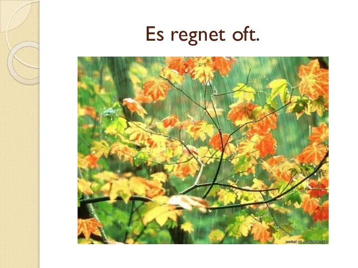 Es regnet oft.