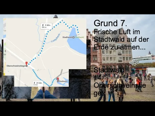 Grund 7. Frische Luft im Stadtwald auf der Erde zu atmen... Stadtwald 14 Oberschweinstiege