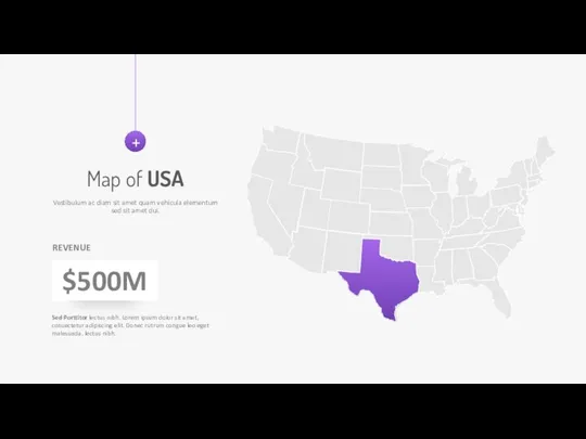 Map of USA Vestibulum ac diam sit amet quam vehicula elementum