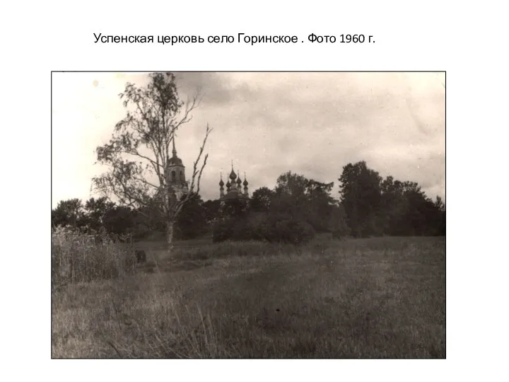 Успенская церковь село Горинское . Фото 1960 г.