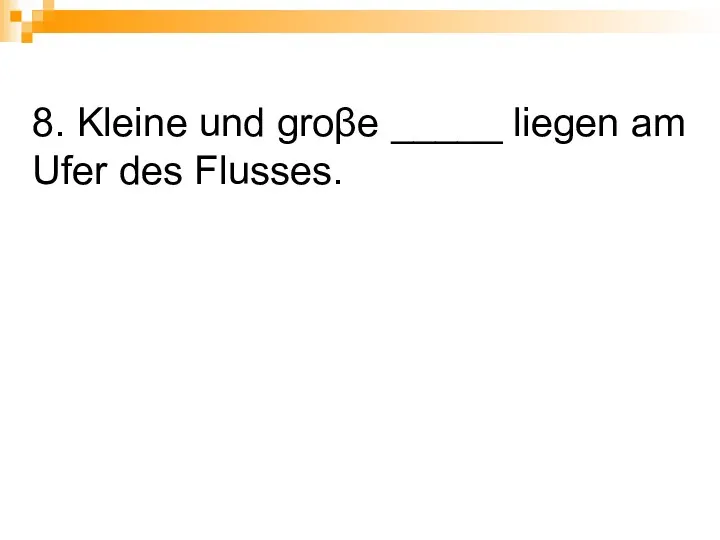 8. Kleine und groβe _____ liegen am Ufer des Flusses.