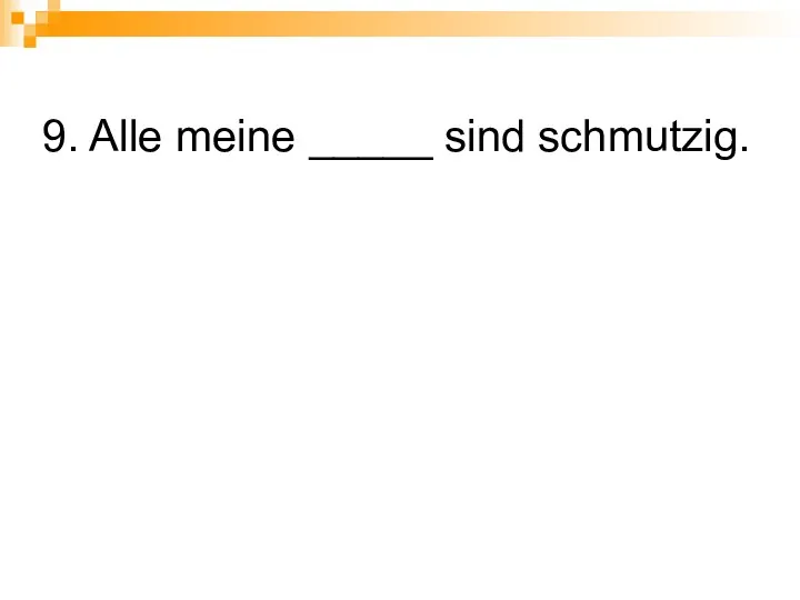 9. Alle meine _____ sind schmutzig.