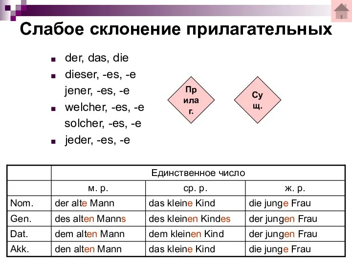 der, das, die dieser, -es, -e jener, -es, -e welcher, -es,