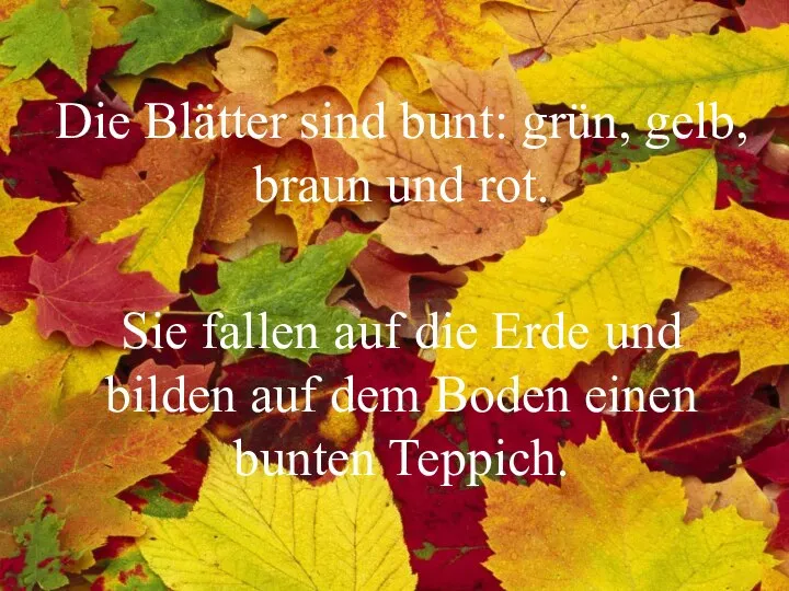 Die Blätter sind bunt: grün, gelb, braun und rot. Sie fallen