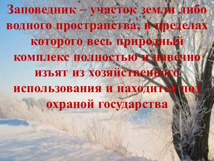 Заповедник – участок земли либо водного пространства, в пределах которого весь