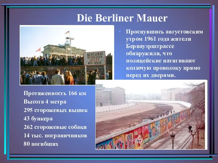 Протяженность 166 км Высота 4 метра 295 сторожевых вышек 43 бункера