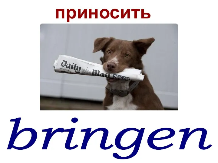 bringen* приносить