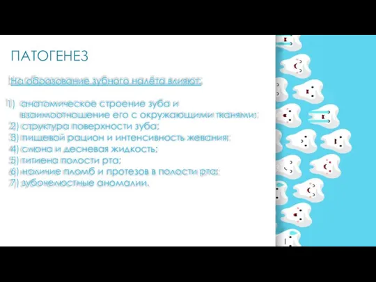 ПАТОГЕНЕЗ На образование зубного налёта влияют: анатомическое строение зуба и взаимоотношение