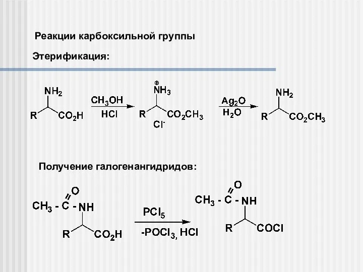 Реакции карбоксильной группы Этерификация: Получение галогенангидридов: