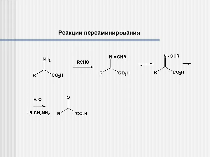 Реакции переаминирования
