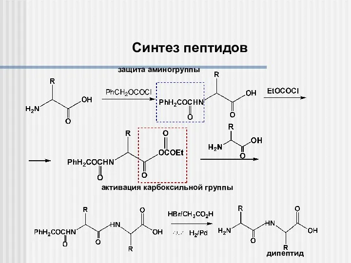 дипептид активация карбоксильной группы защита аминогруппы Синтез пептидов