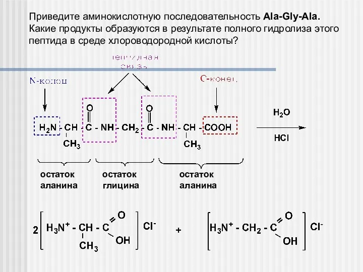 Приведите аминокислотную последовательность Ala-Gly-Ala. Какие продукты образуются в результате полного гидролиза