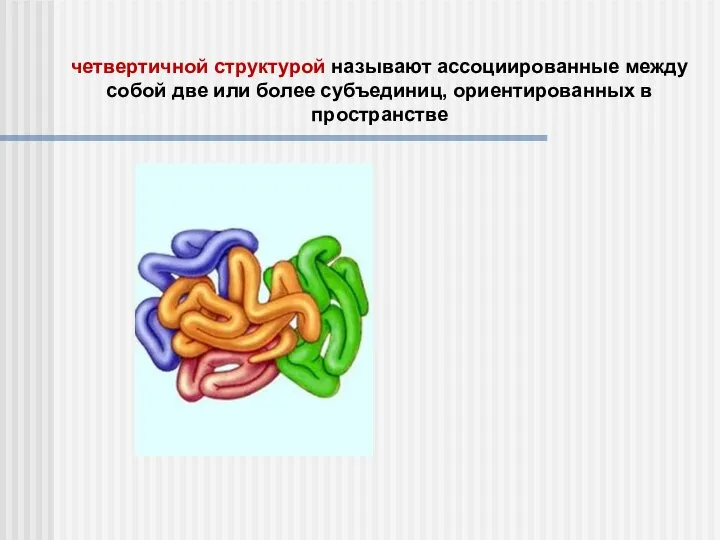 четвертичной структурой называют ассоциированные между собой две или более субъединиц, ориентированных в пространстве