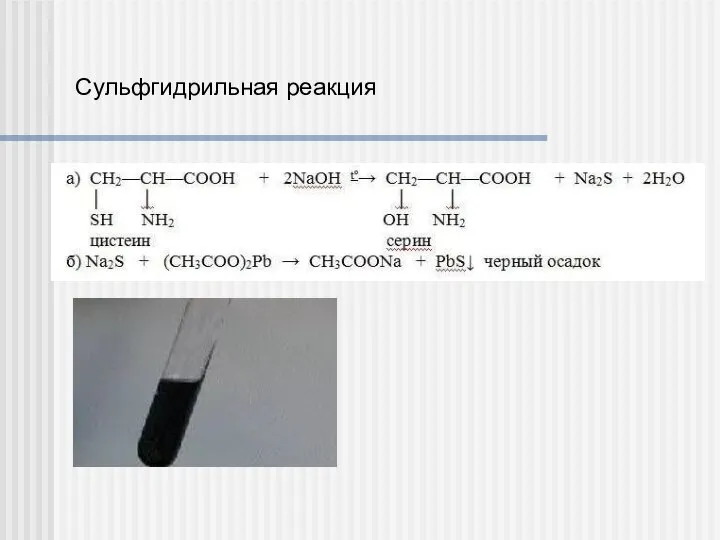 Сульфгидрильная реакция