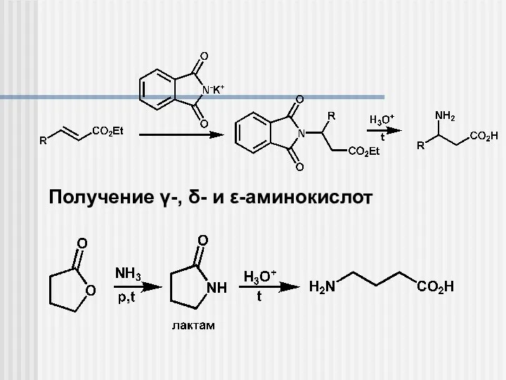 Получение γ-, δ- и ε-аминокислот