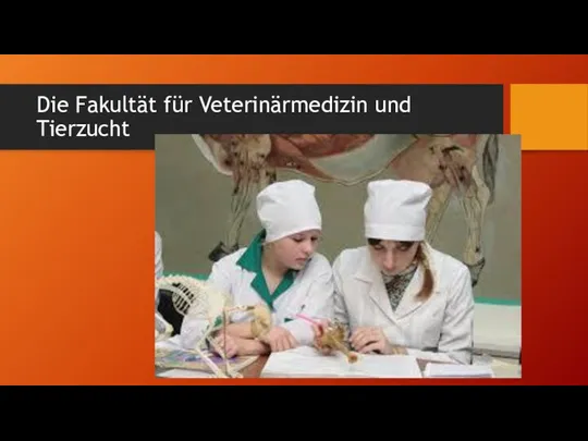 Die Fakultät für Veterinärmedizin und Tierzucht