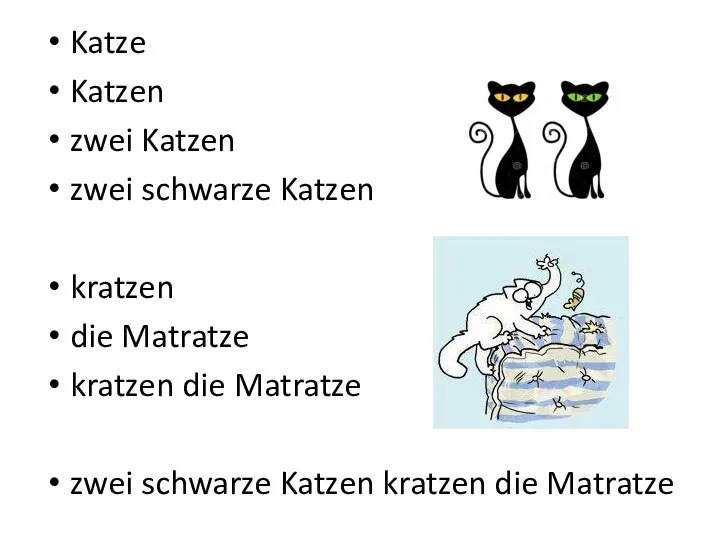 Katze Katzen zwei Katzen zwei schwarze Katzen kratzen die Matratze kratzen