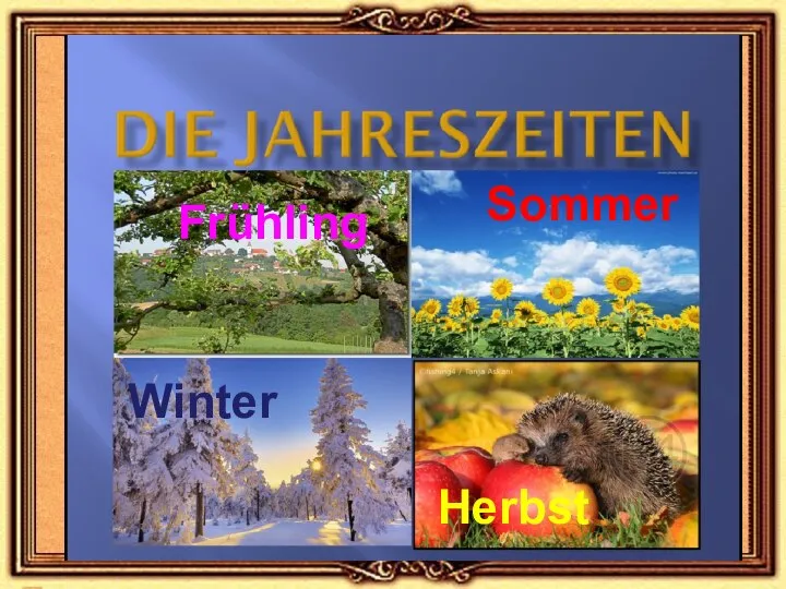 Sommer Herbst Winter Frühling