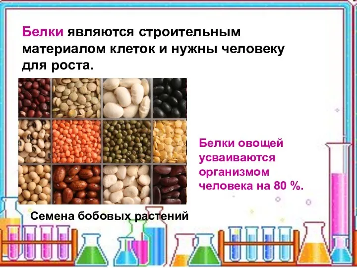 Белки являются строительным материалом клеток и нужны человеку для роста. Белки