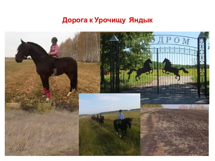 Дорога к Урочищу Яндык