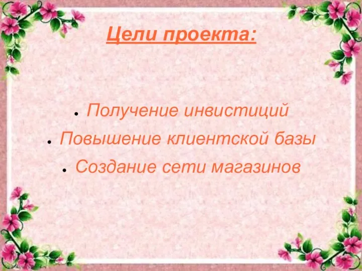 Цели проекта: Получение инвистиций Повышение клиентской базы Создание сети магазинов