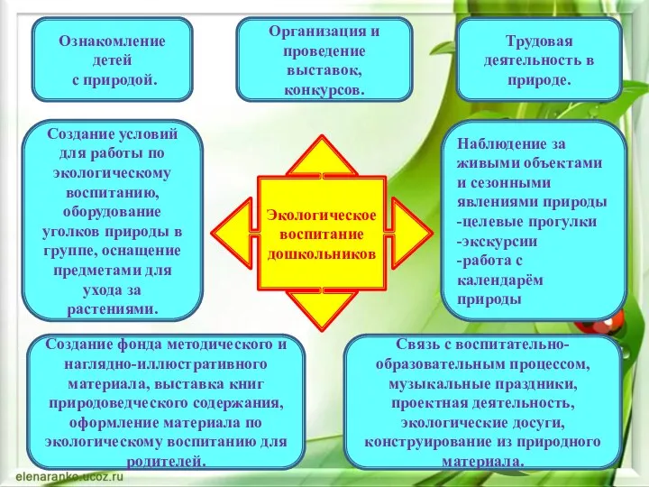 Экологическое воспитание дошкольников Ознакомление детей с природой. Трудовая деятельность в природе.