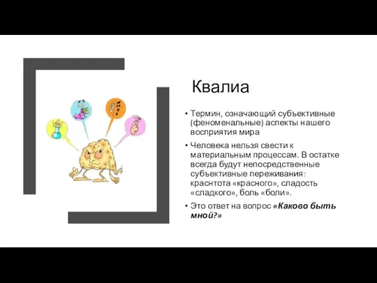 Квалиа Термин, означающий субъективные (феноменальные) аспекты нашего восприятия мира Человека нельзя