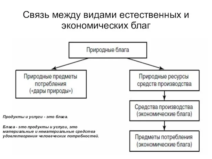 Связь между видами естественных и экономических благ Продукты и услуги -