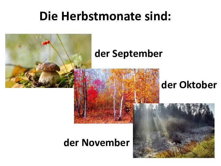 Die Herbstmonate sind: der September der Oktober der November