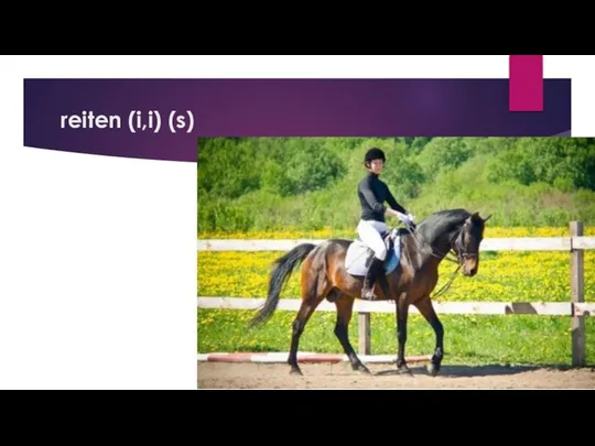 reiten (i,i) (s)