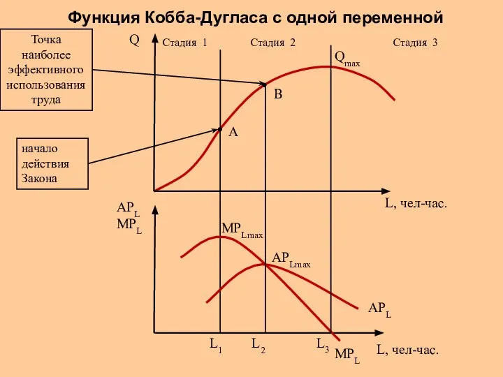 АPLmax MPLmax Функция Кобба-Дугласа с одной переменной Стадия 2 В А