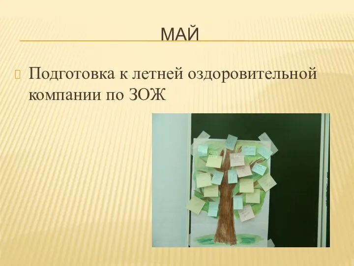 МАЙ Подготовка к летней оздоровительной компании по ЗОЖ