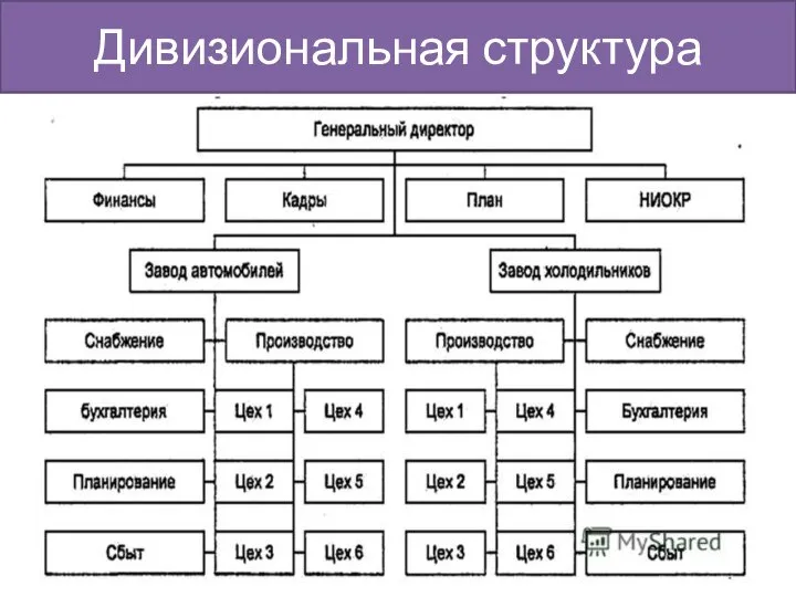 Дивизиональная структура