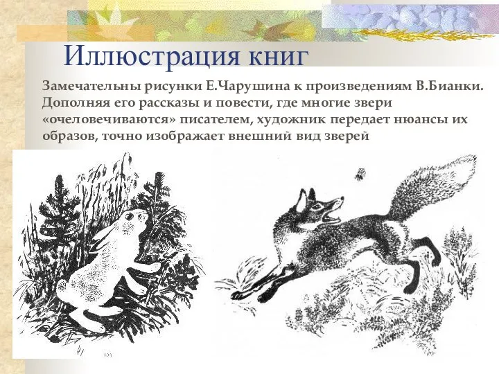 Иллюстрация книг Замечательны рисунки Е.Чарушина к произведениям В.Бианки. Дополняя его рассказы