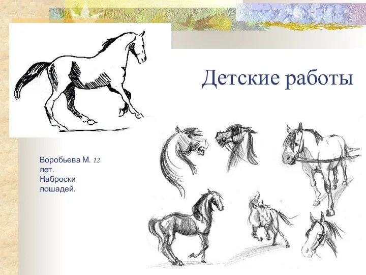 Детские работы Воробьева М. 12 лет. Наброски лошадей.