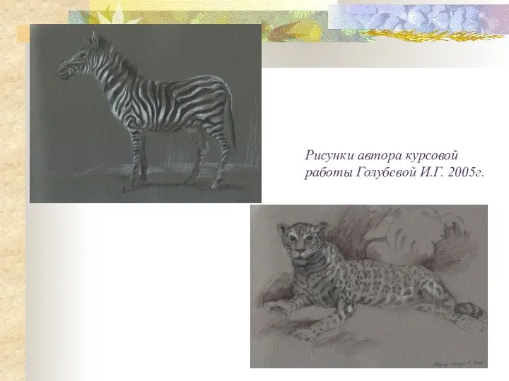 Рисунки автора курсовой работы Голубевой И.Г. 2005г.