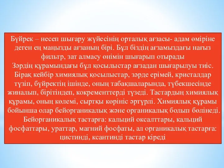 Бүйрек – несеп шығару жүйесінің орталық ағзасы- адам өміріне деген ең