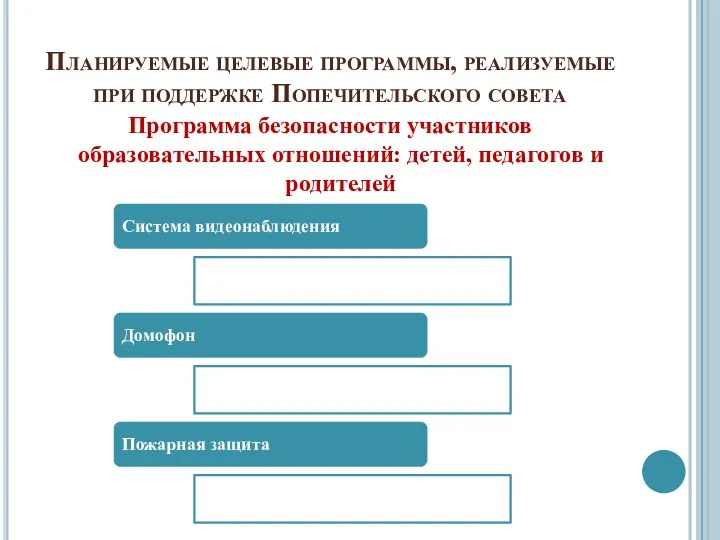 Планируемые целевые программы, реализуемые при поддержке Попечительского совета Программа безопасности участников