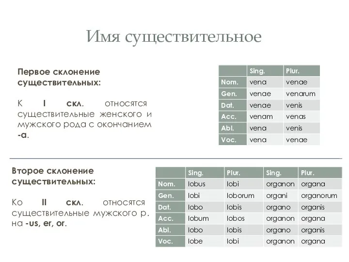 Имя существительное Первое склонение существительных: К I скл. относятся существительные женского