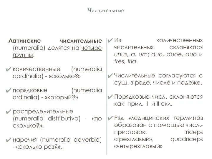 Числительные Латинские числительные (numeralia) делятся на четыре группы: количественные (numeralia cardinalia)