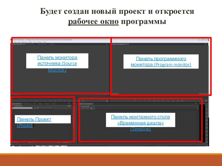 Будет создан новый проект и откроется рабочее окно программы Панель Проект