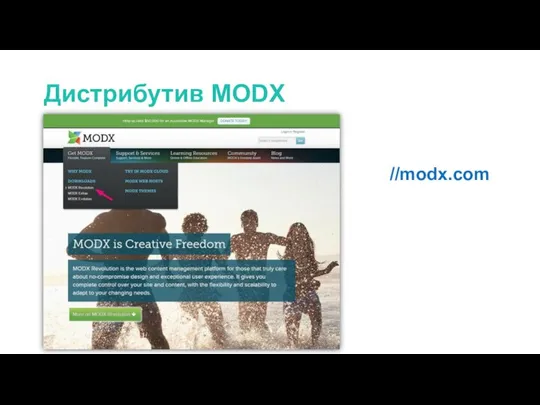 Дистрибутив MODX //modx.com