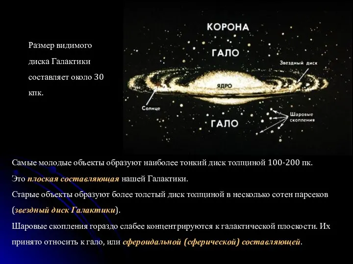 Размер видимого диска Галактики составляет около 30 кпк. Самые молодые объекты