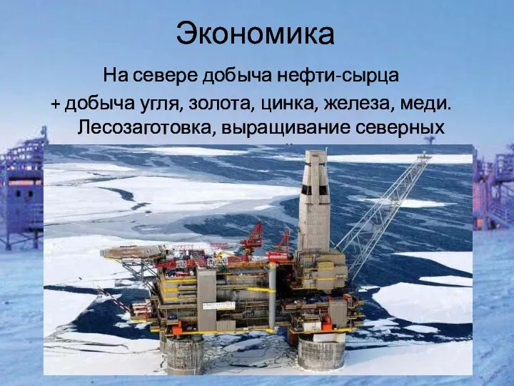 Экономика На севере добыча нефти-сырца + добыча угля, золота, цинка, железа, меди. Лесозаготовка, выращивание северных оленей