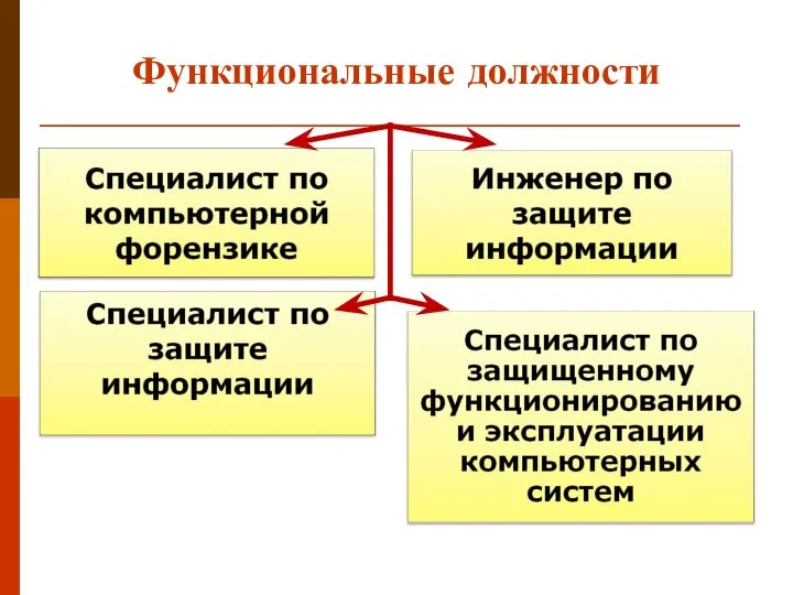 Функциональные должности