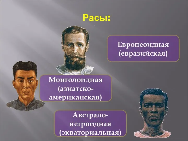 Расы: Европеоидная (евразийская) Монголоидная (азиатско-американская) Австрало-негроидная (экваториальная)