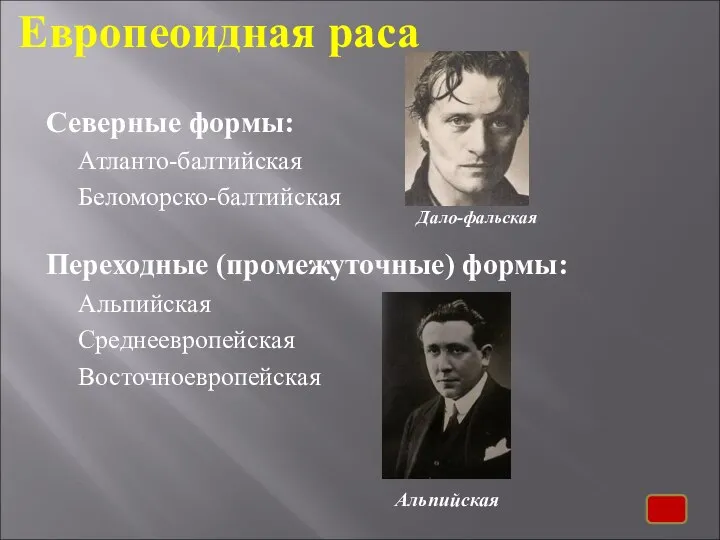 Европеоидная раса Северные формы: Атланто-балтийская Беломорско-балтийская Переходные (промежуточные) формы: Альпийская Среднеевропейская Восточноевропейская Альпийская Дало-фальская