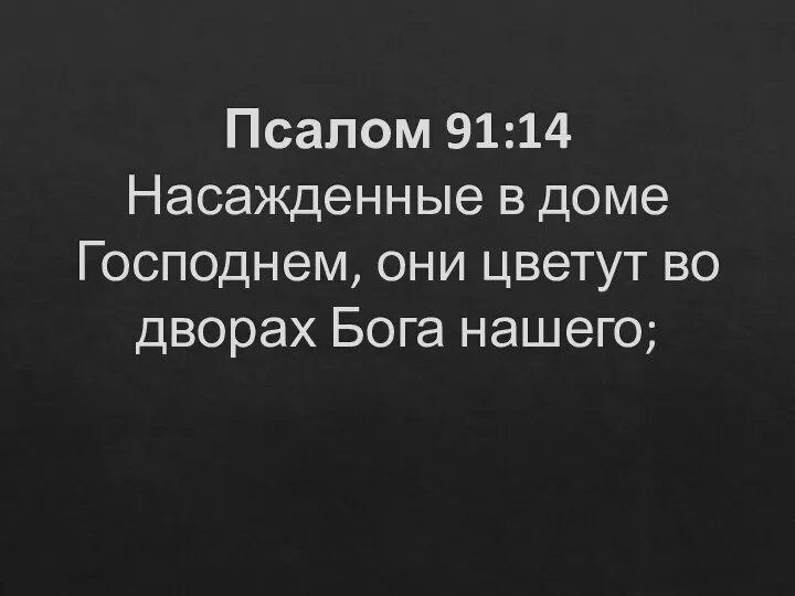 Псалом 91:14 Насажденные в доме Господнем, они цветут во дворах Бога нашего;