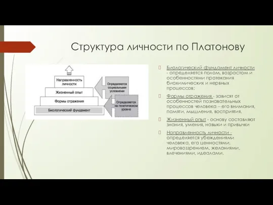 Структура личности по Платонову Биологический фундамент личности - определяется полом, возрастом